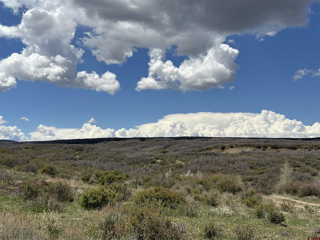 8896 8250 Road Property Photo 18