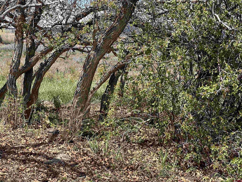 8896 8250 Road Property Photo 21