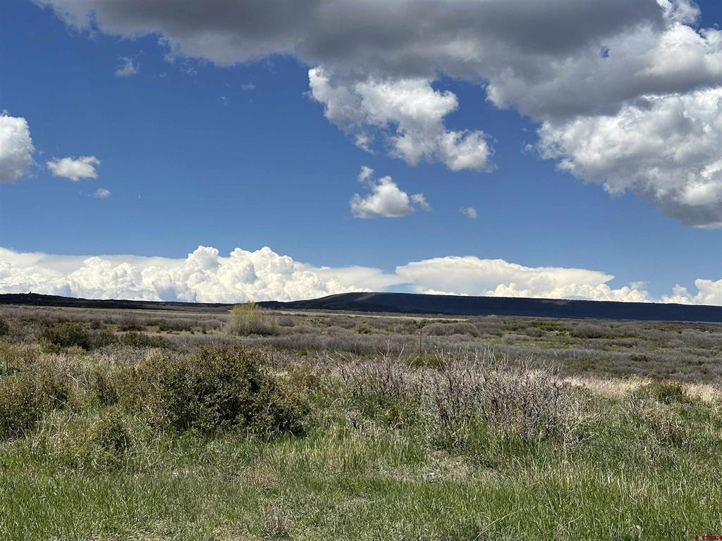 8896 8250 Road Property Photo 23