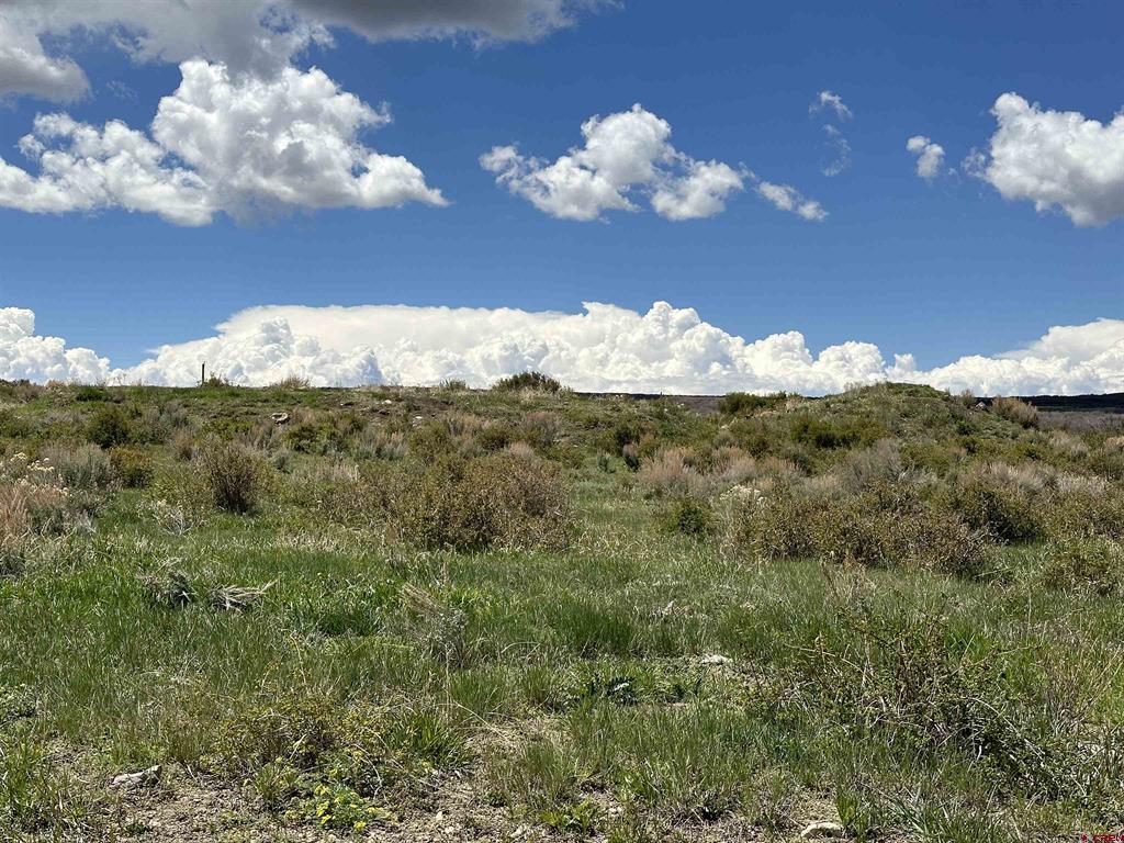 8896 8250 Road Property Photo 27