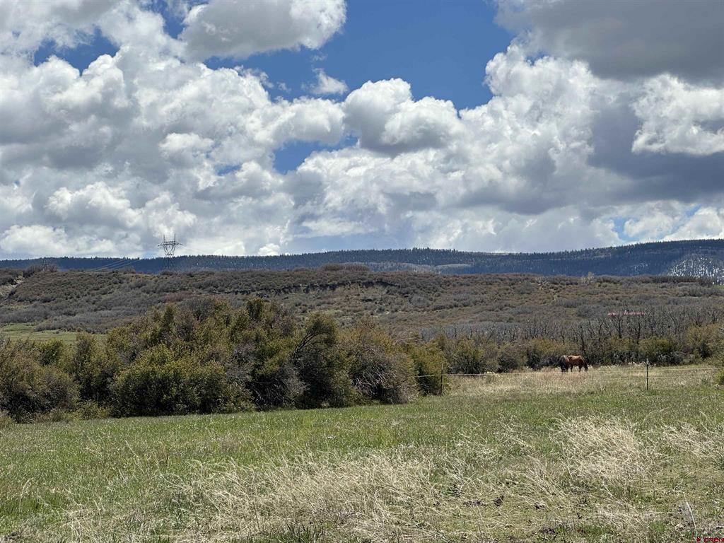 8896 8250 Road Property Photo 29