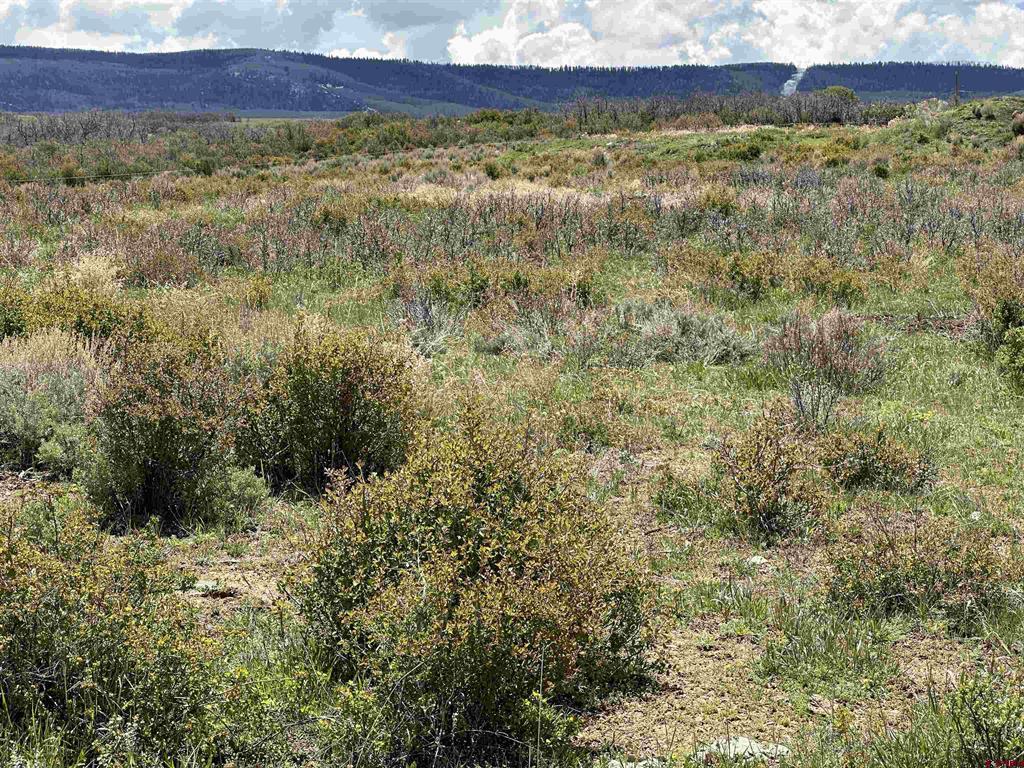 8896 8250 Road Property Photo 33