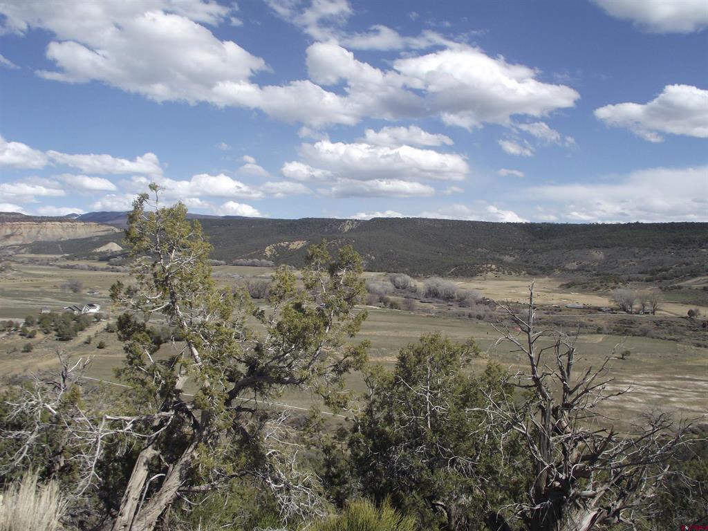 15842 Heavens View Road Property Photo 2