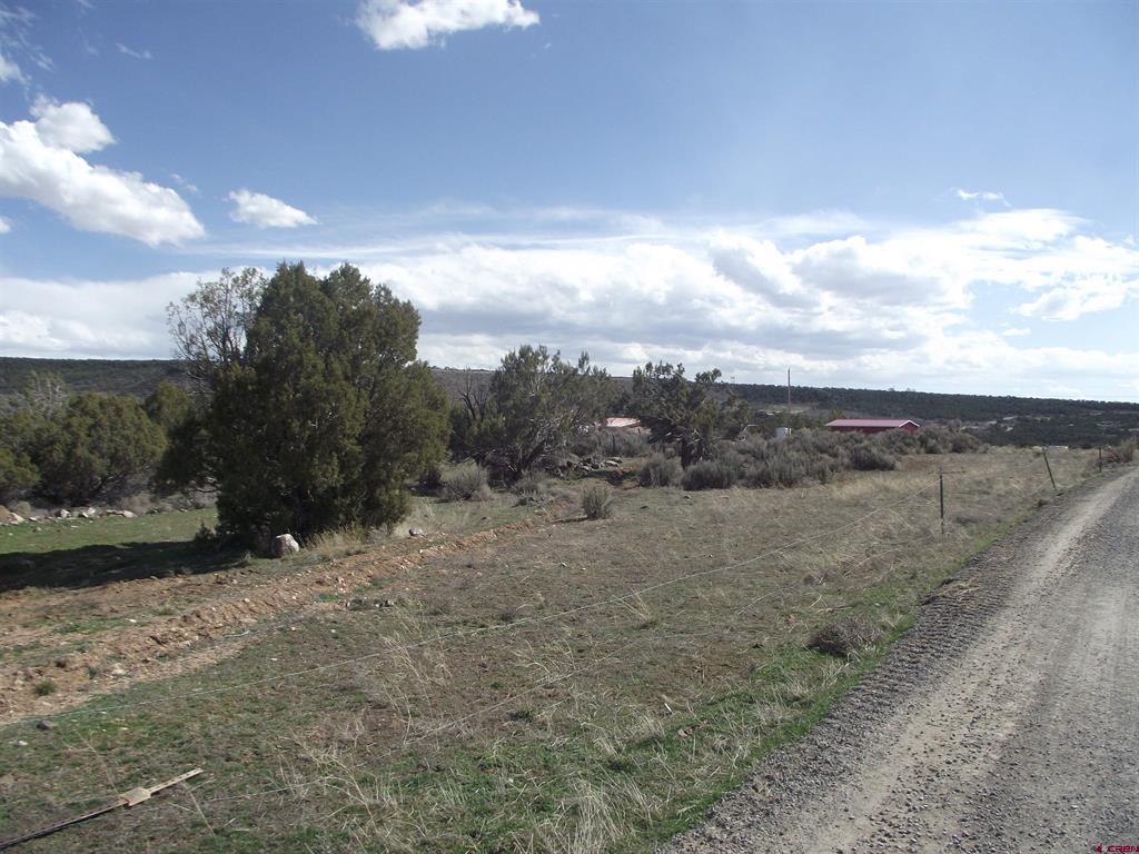 15842 Heavens View Road Property Photo 5