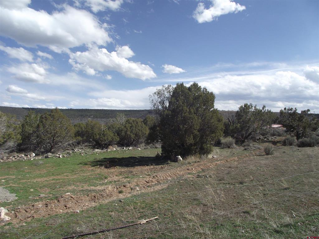 15842 Heavens View Road Property Photo 6