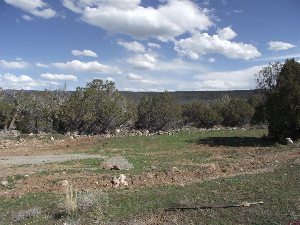 15842 Heavens View Road Property Photo 7