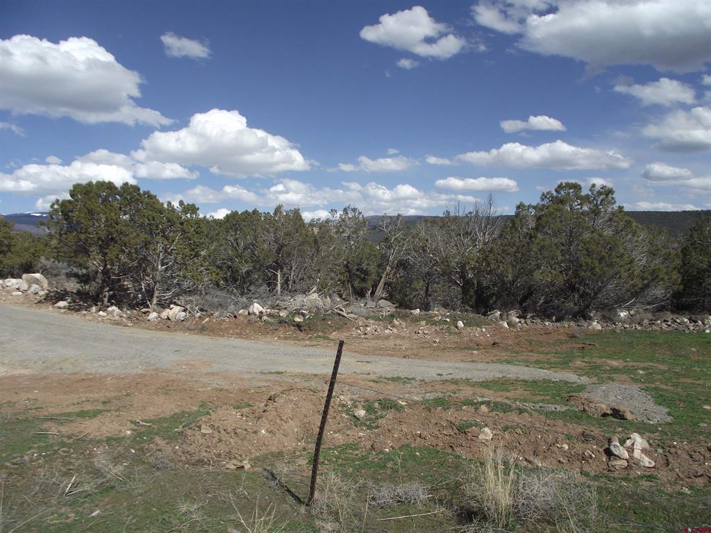 15842 Heavens View Road Property Photo 8