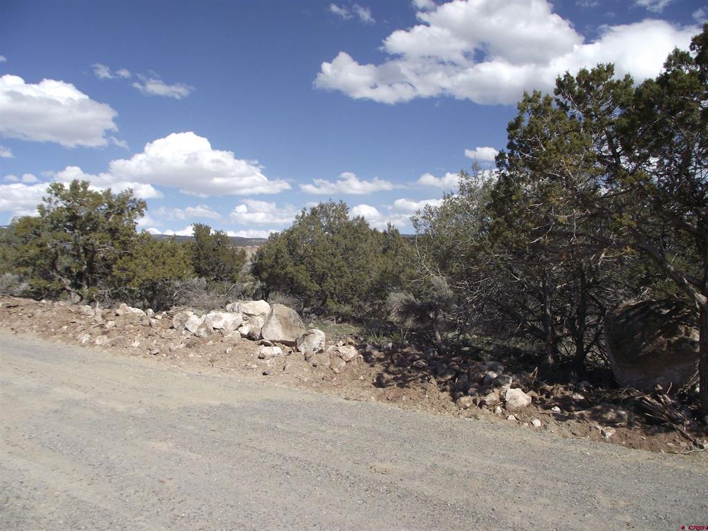 15842 Heavens View Road Property Photo 15