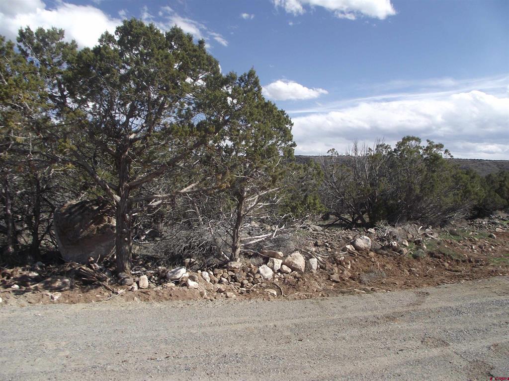 15842 Heavens View Road Property Photo 16