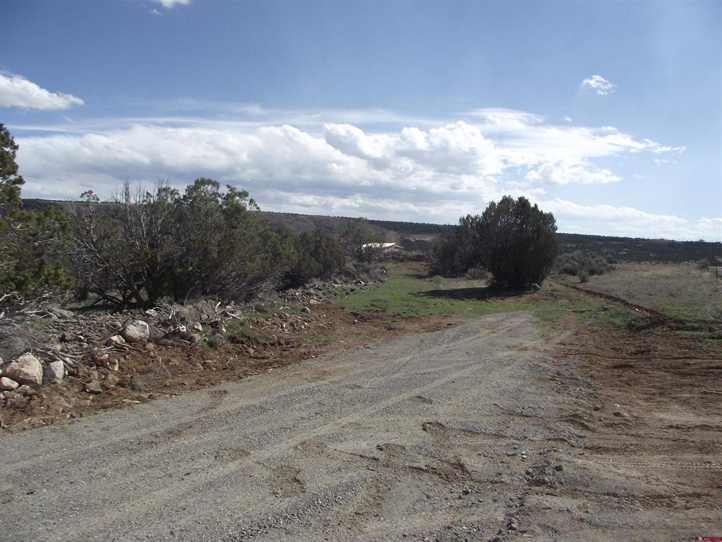 15842 Heavens View Road Property Photo 17
