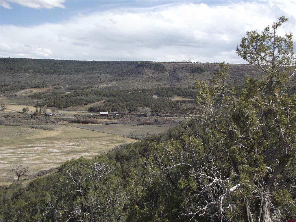 15842 Heavens View Road Property Photo 27