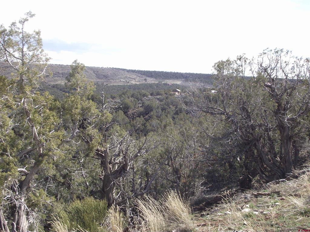 15842 Heavens View Road Property Photo 28
