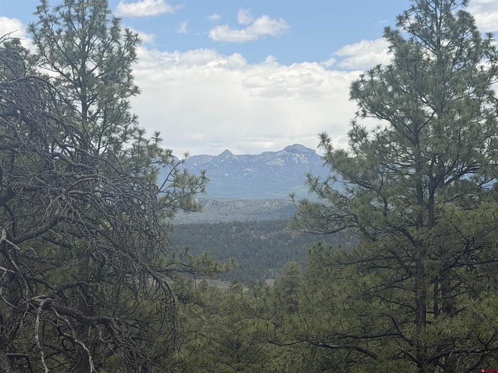 2626 S Pagosa Boulevard Property Photo 3