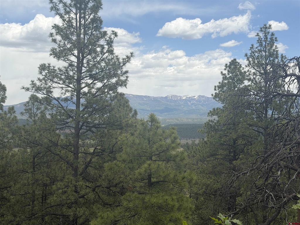 2626 S Pagosa Boulevard Property Photo 4