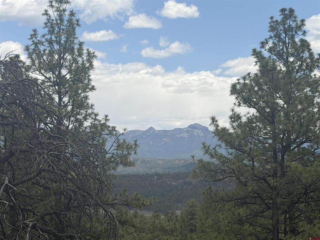 2626 S Pagosa Boulevard Property Photo 5