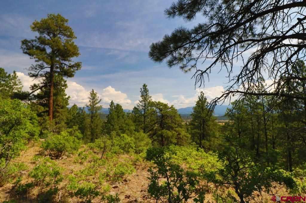 2626 S Pagosa Boulevard Property Photo 6