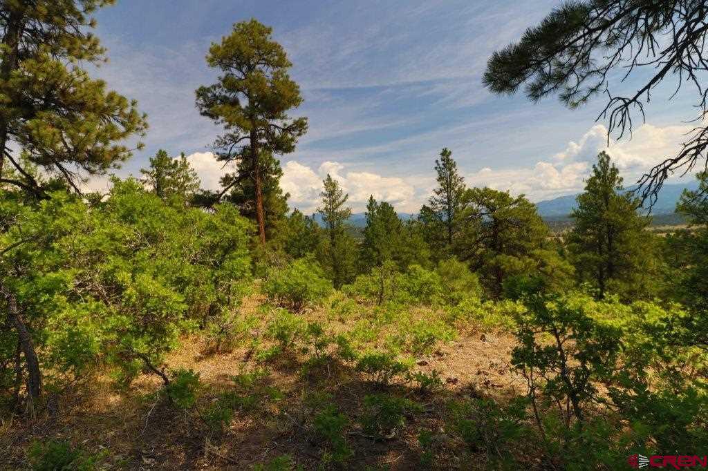 2626 S Pagosa Boulevard Property Photo 7