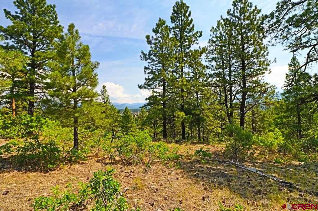 2626 S Pagosa Boulevard Property Photo 8