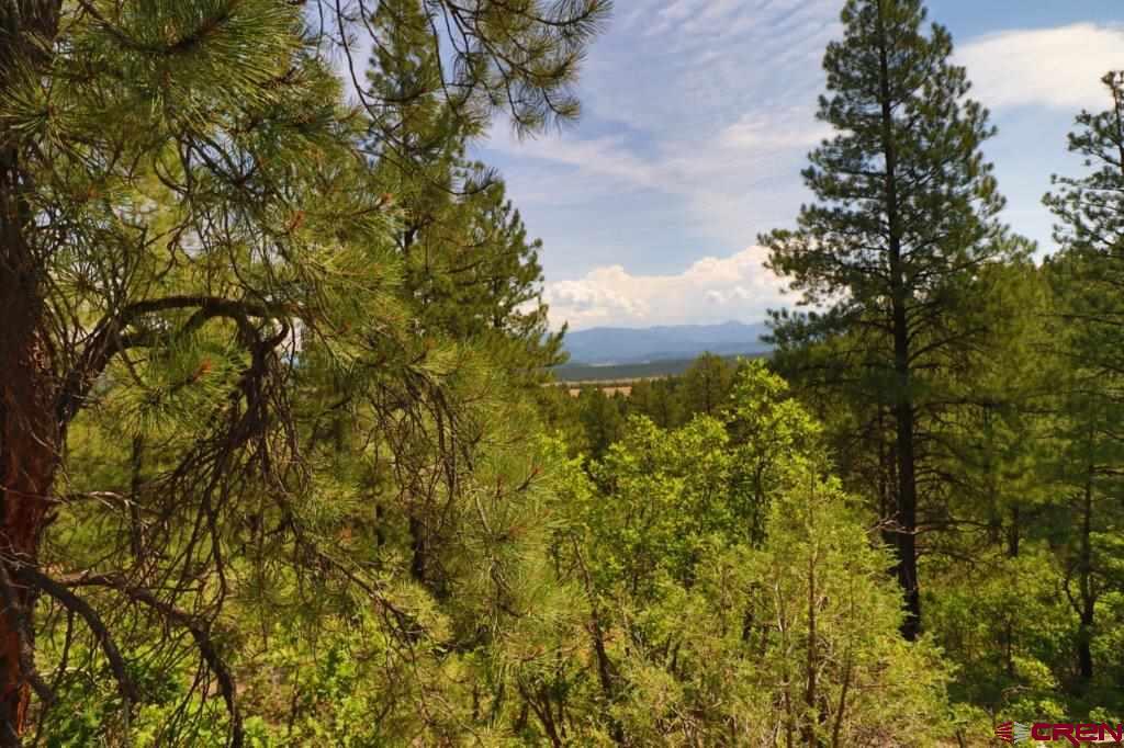 2626 S Pagosa Boulevard Property Photo 9
