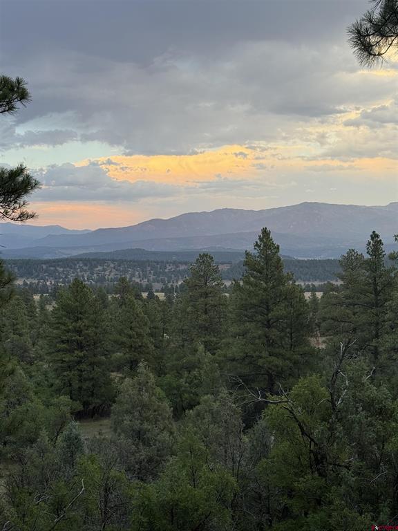 2626 S Pagosa Boulevard Property Photo 11