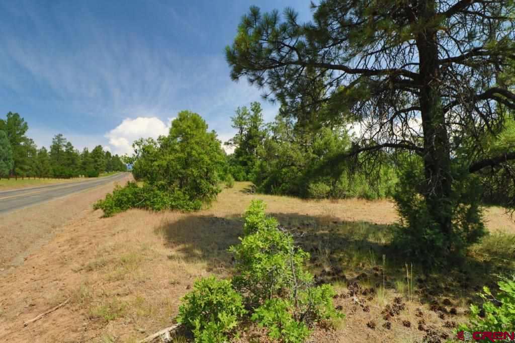 2626 S Pagosa Boulevard Property Photo 12