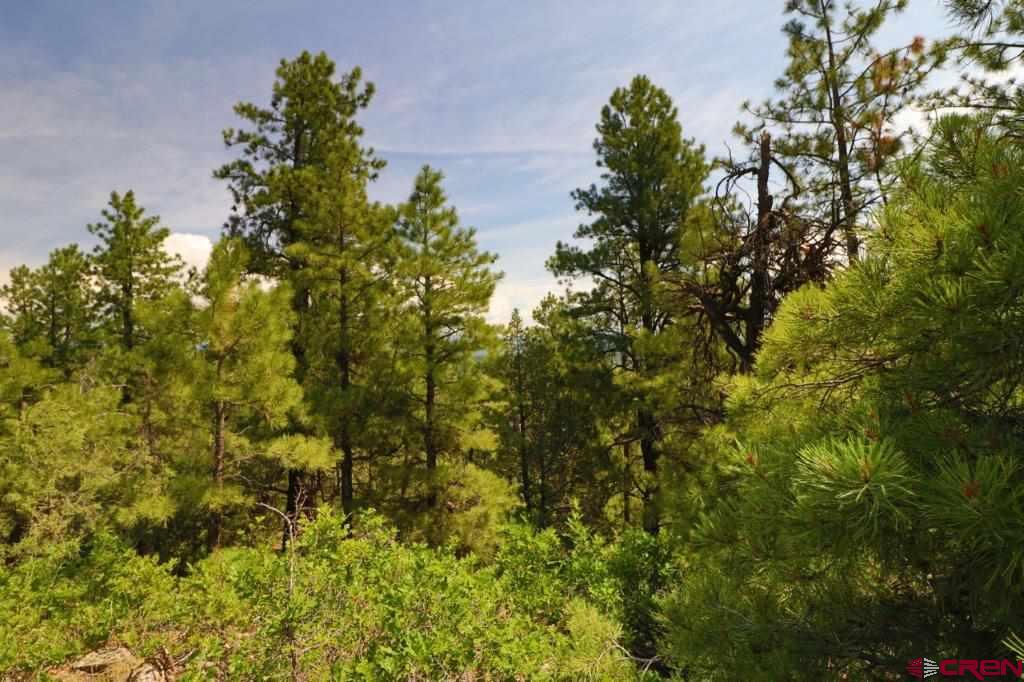 2626 S Pagosa Boulevard Property Photo 14