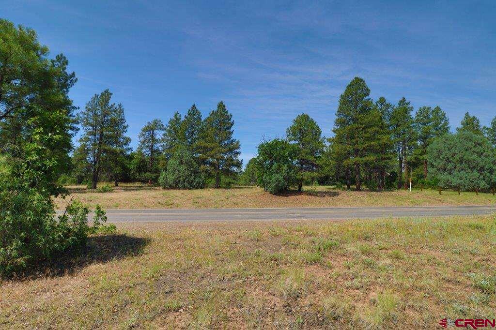 2626 S Pagosa Boulevard Property Photo 15