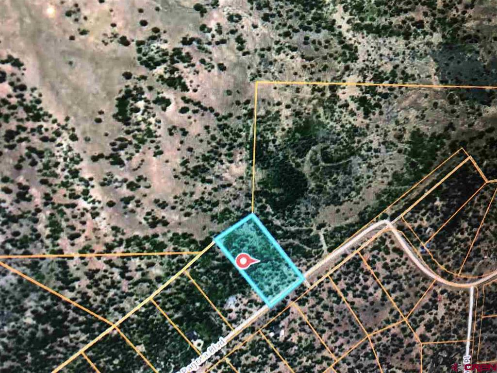 2626 S Pagosa Boulevard Property Photo 17