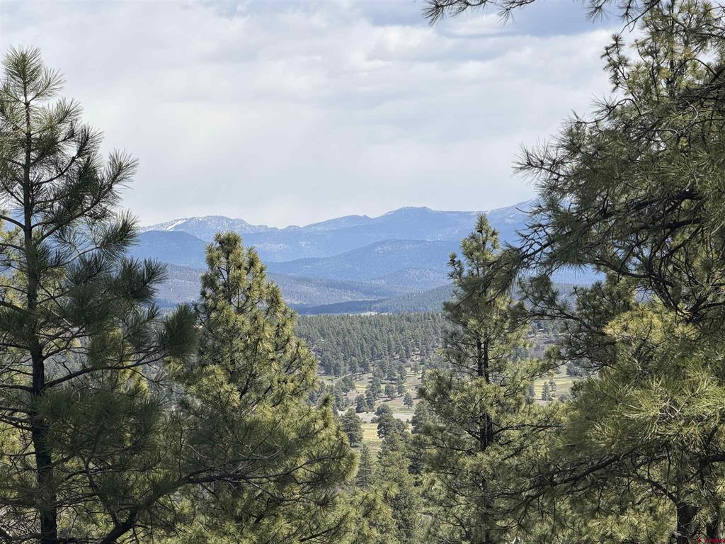 2626 S Pagosa Boulevard Property Photo 19