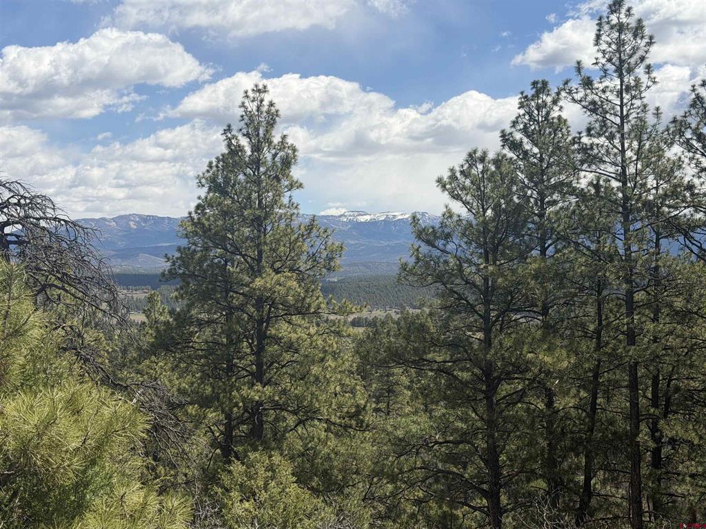 2626 S Pagosa Boulevard Property Photo 20