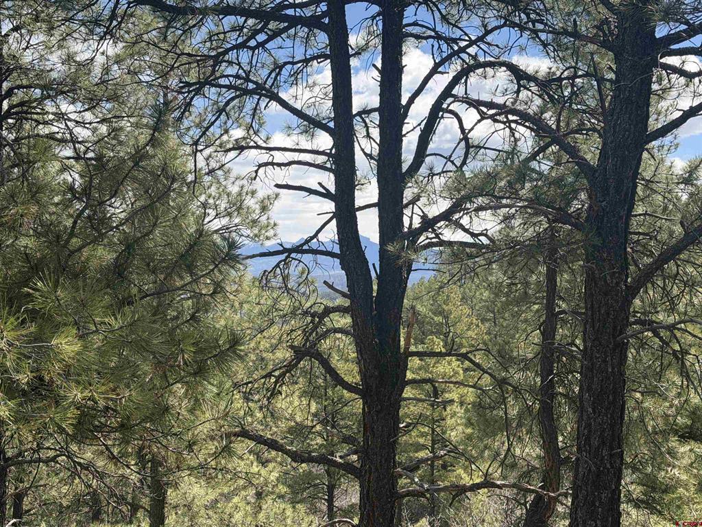 2626 S Pagosa Boulevard Property Photo 21