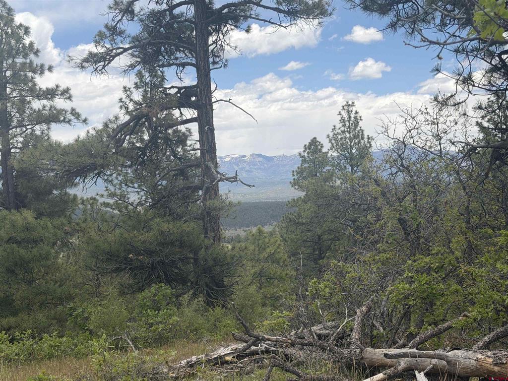 2626 S Pagosa Boulevard Property Photo 22