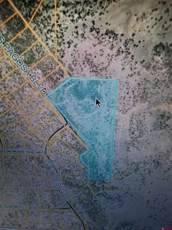 2626 S Pagosa Boulevard Property Photo 23