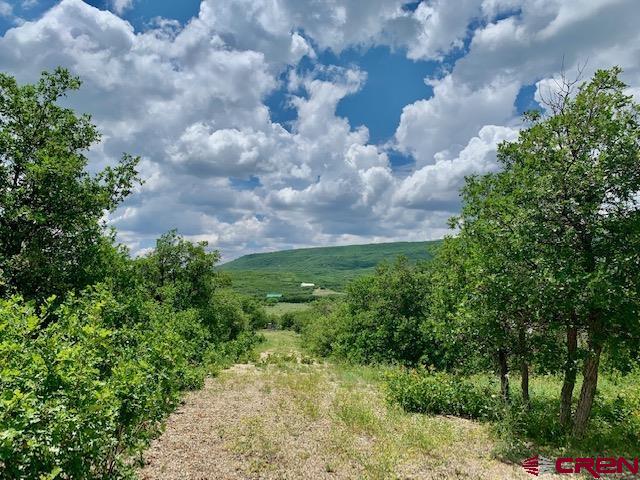 9638 Road 29 Lot 14 Property Photo 41