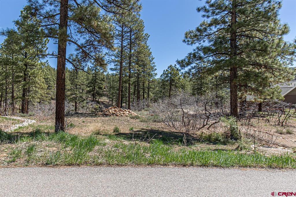 97 Canyon Pines Property Photo 1