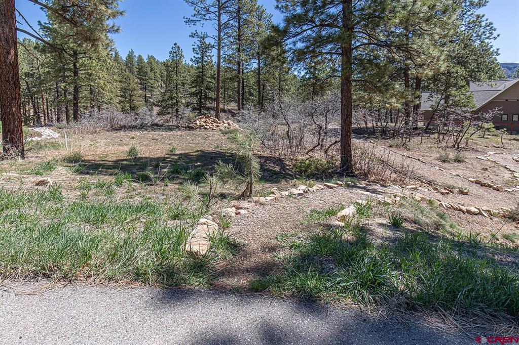 97 Canyon Pines Property Photo 2
