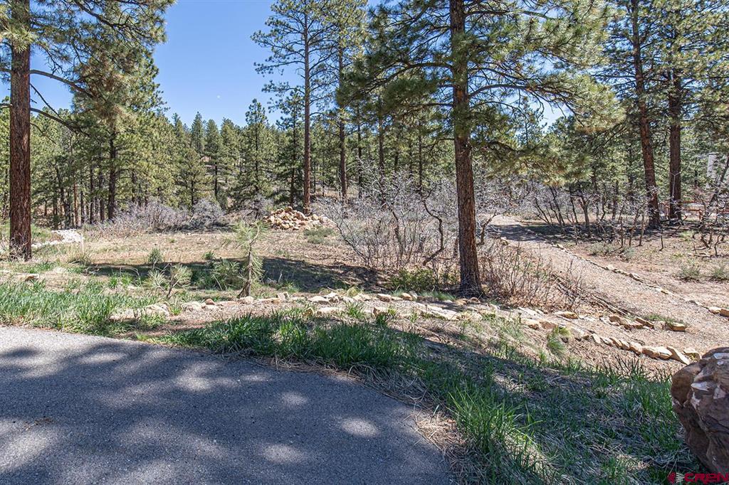 97 Canyon Pines Property Photo 3