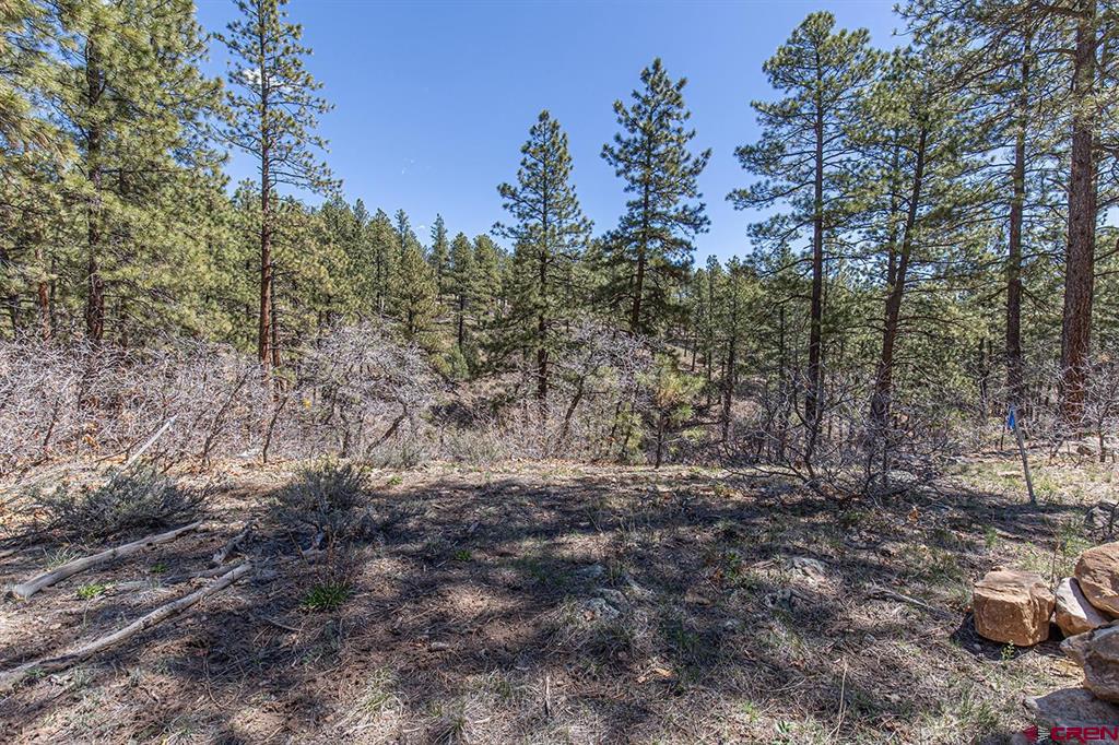 97 Canyon Pines Property Photo 4