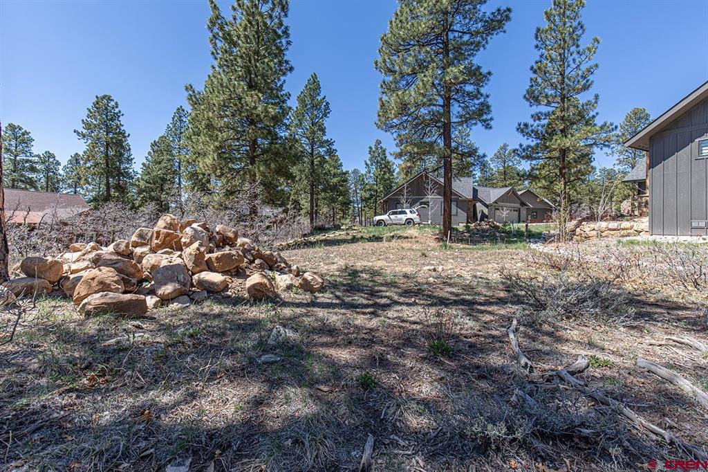 97 Canyon Pines Property Photo 6