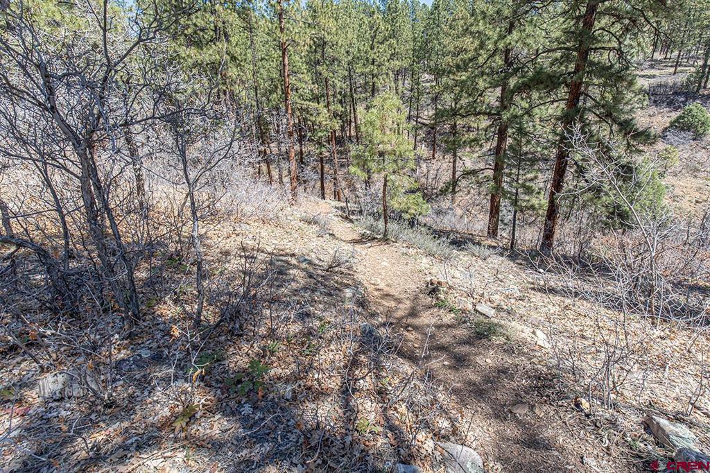 97 Canyon Pines Property Photo 7