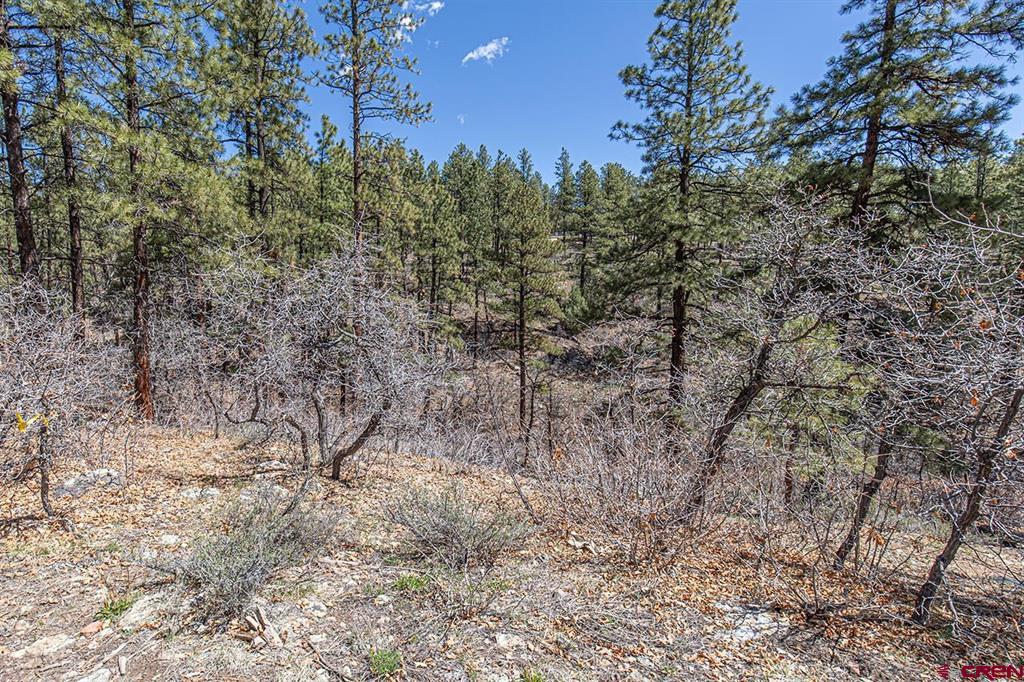 97 Canyon Pines Property Photo 8