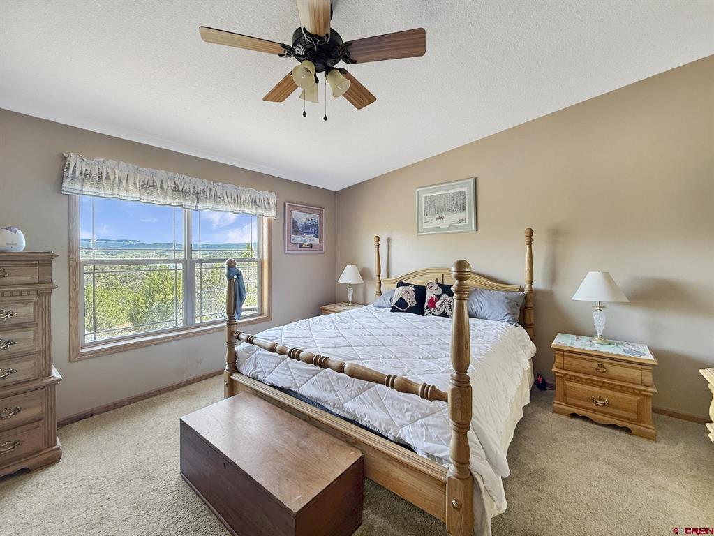 40331 D Road Property Photo 36