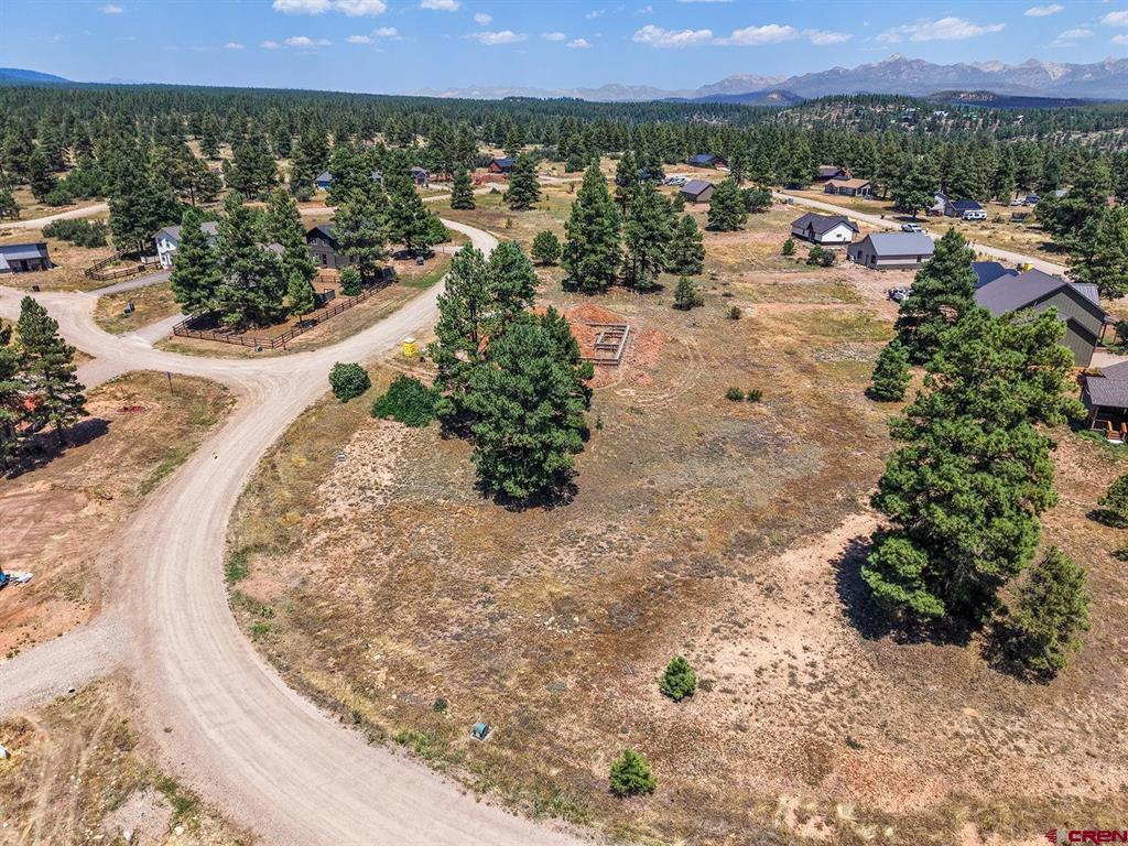 317 Domicile Circle Property Photo 2