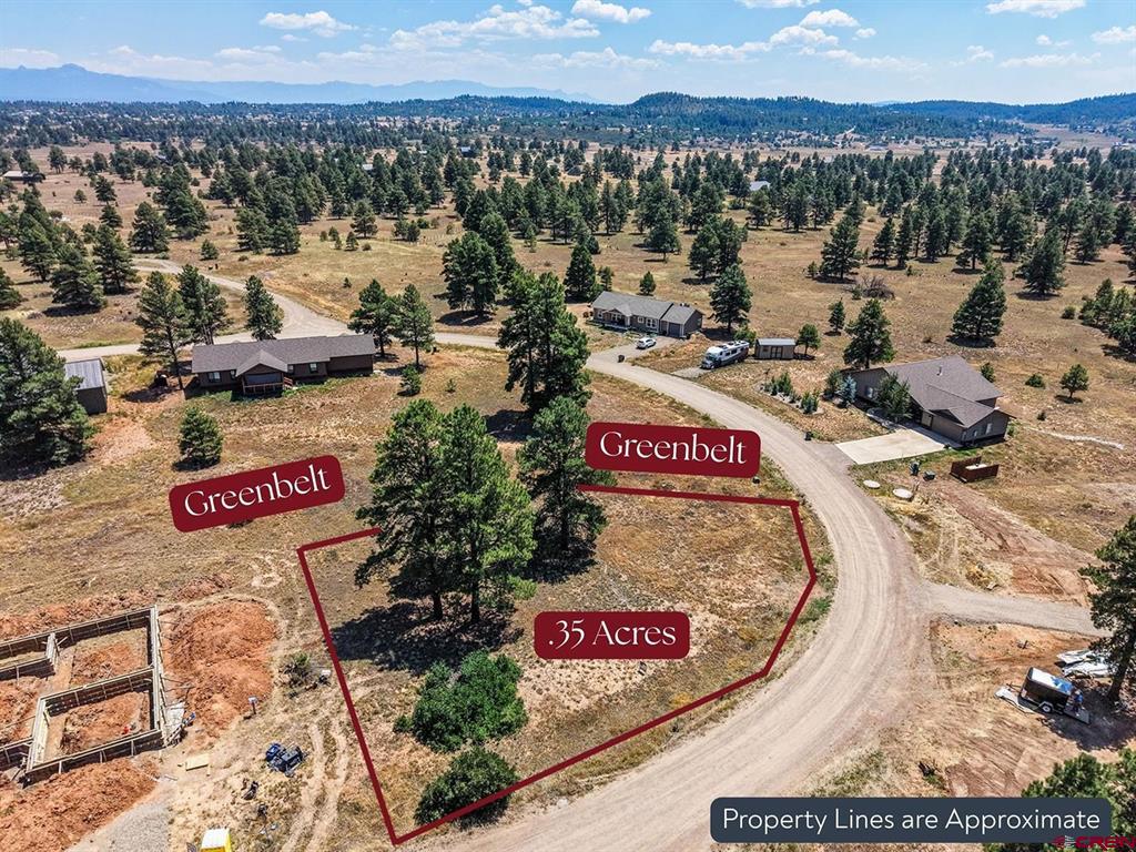 317 Domicile Circle Property Photo 4