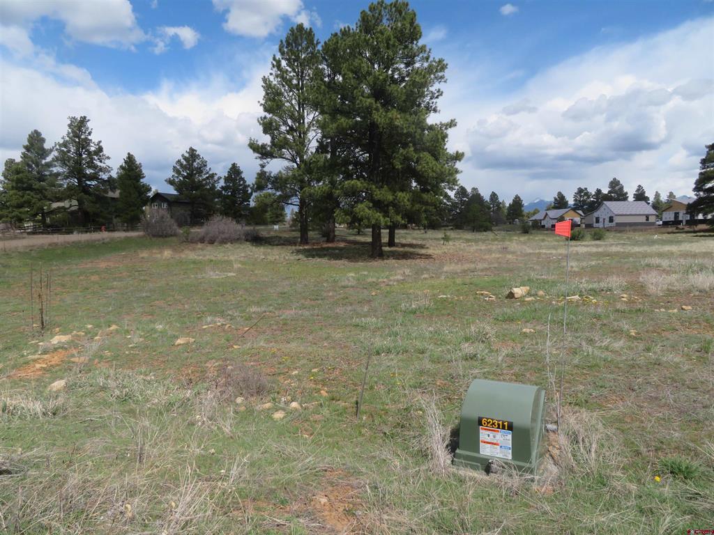 317 Domicile Circle Property Photo 5