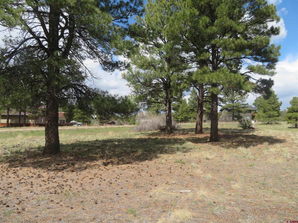 317 Domicile Circle Property Photo 6