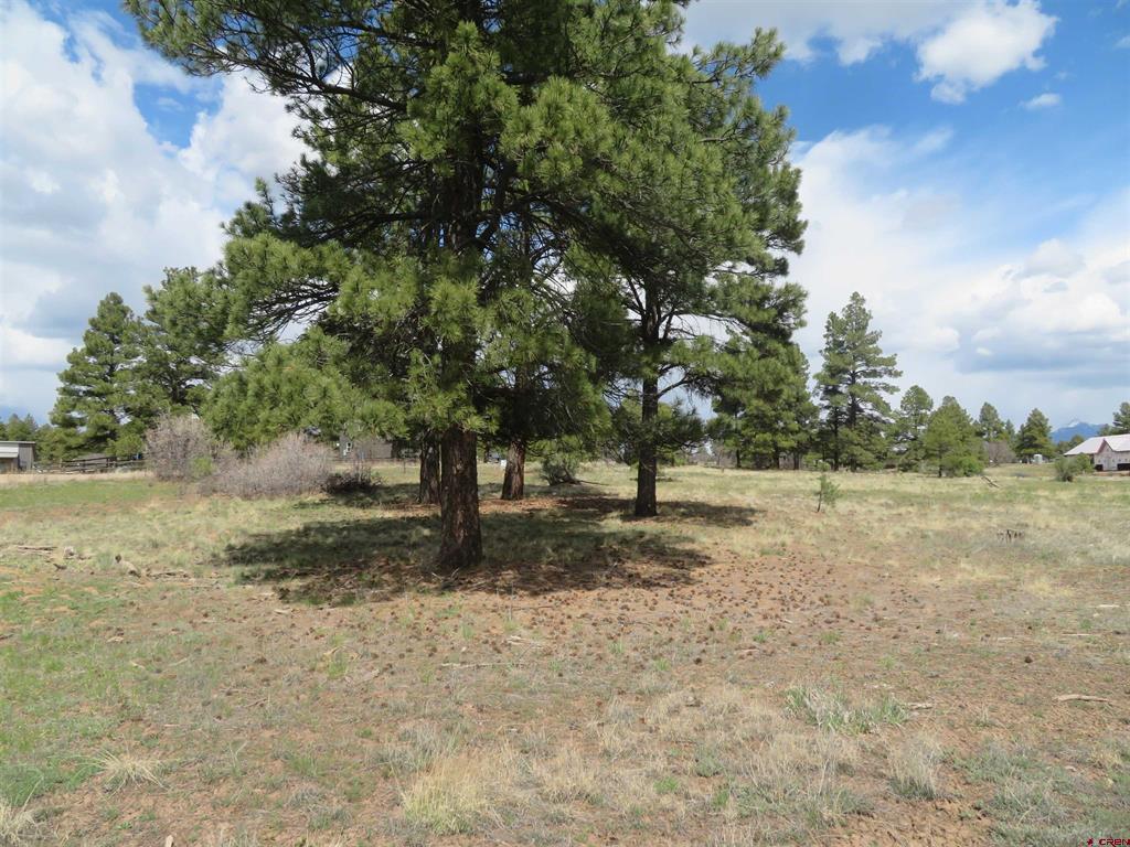 317 Domicile Circle Property Photo 8