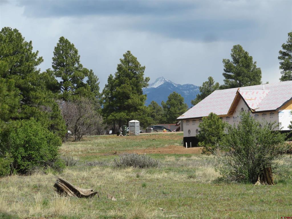 317 Domicile Circle Property Photo 9