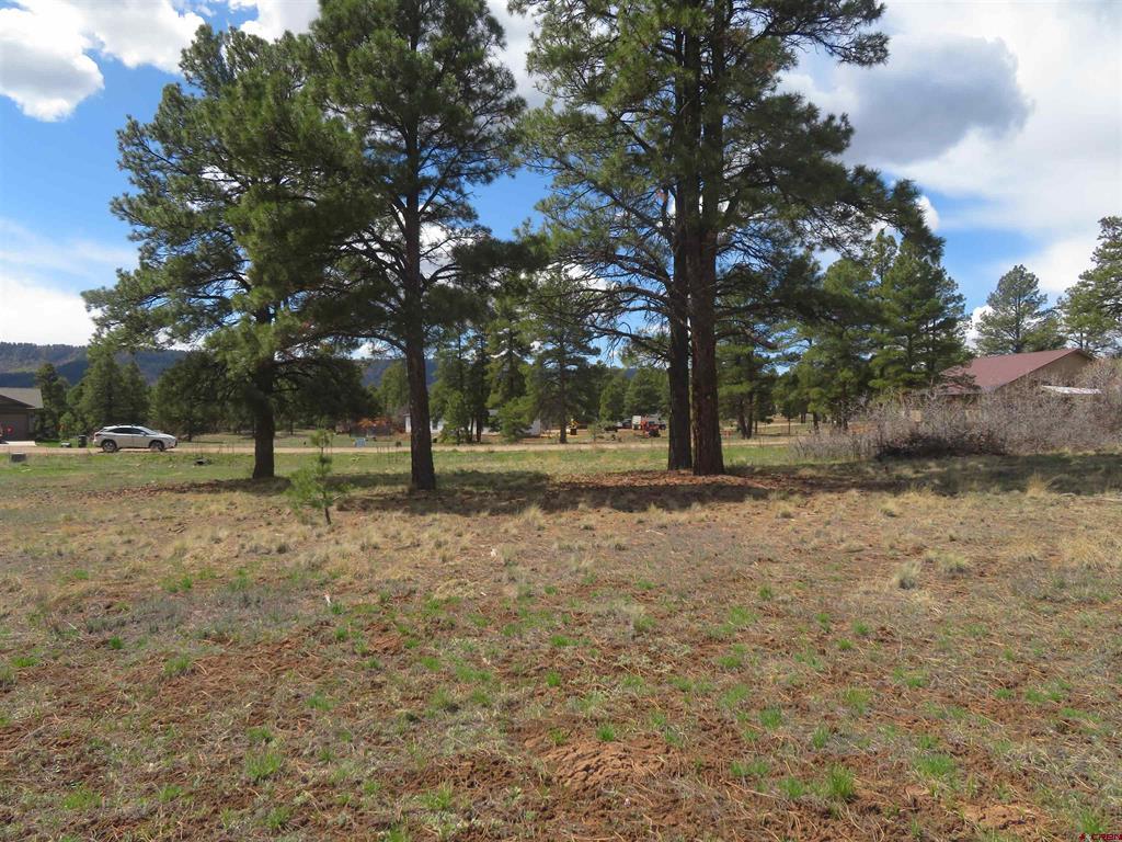 317 Domicile Circle Property Photo 10
