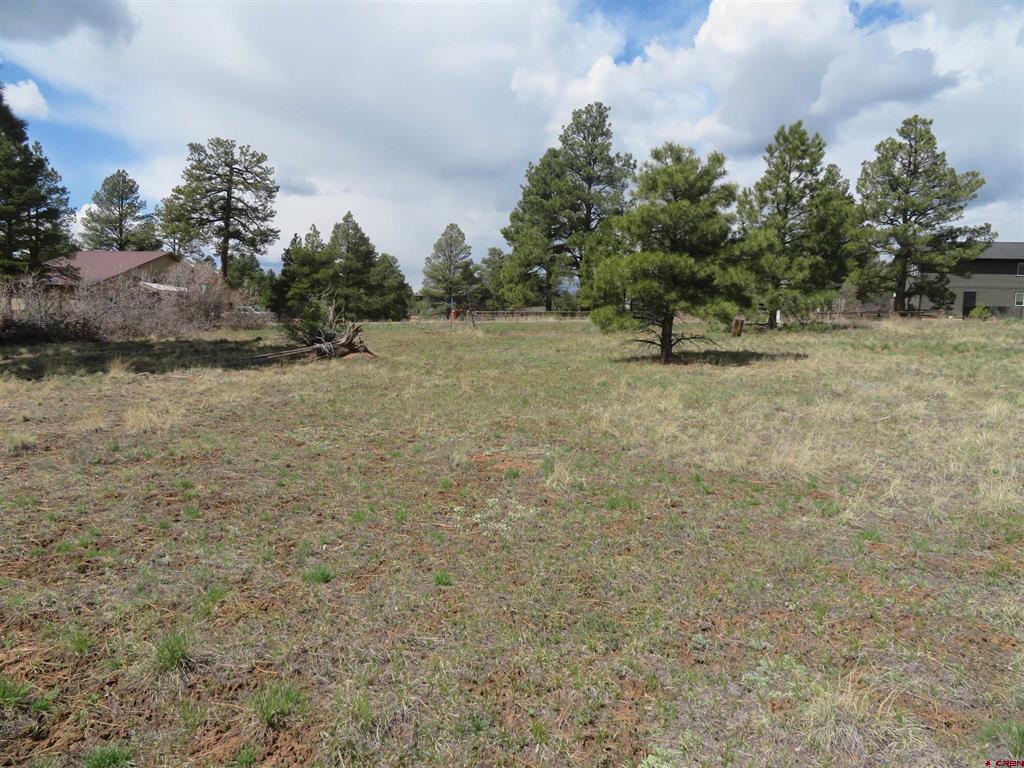 317 Domicile Circle Property Photo 11